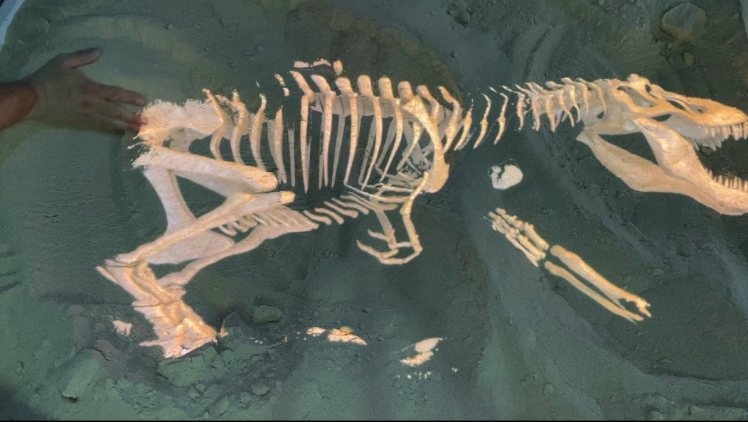 AR interactive sandbox with 3D games. Dinosaur excavation